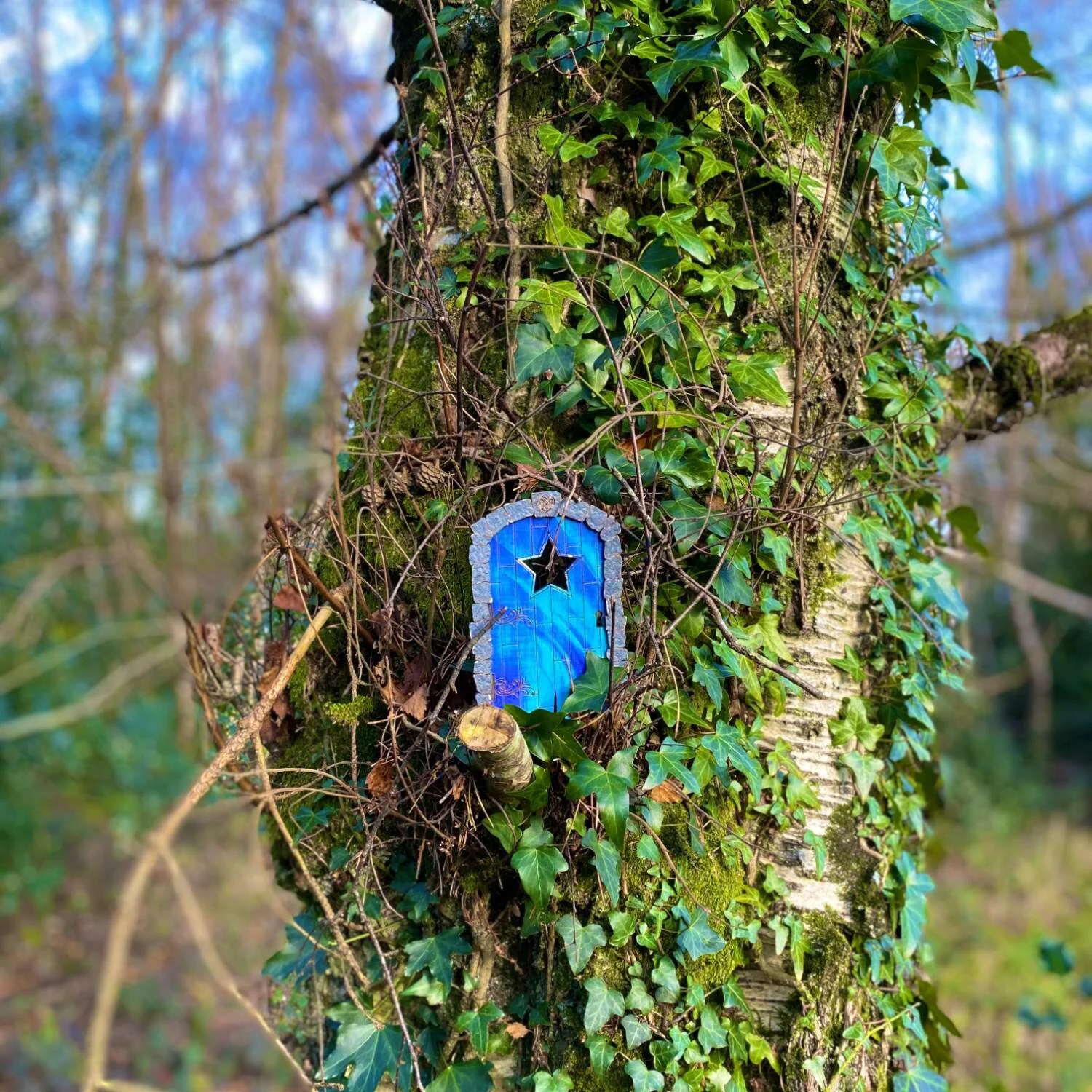 1500+x+1500_Door+Blue+(2).jpg?